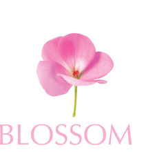 Unisex Organic Cotton T-Shirt with "Blossom" Design
