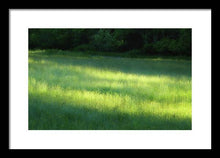 Early Morning Meadow - Framed Print