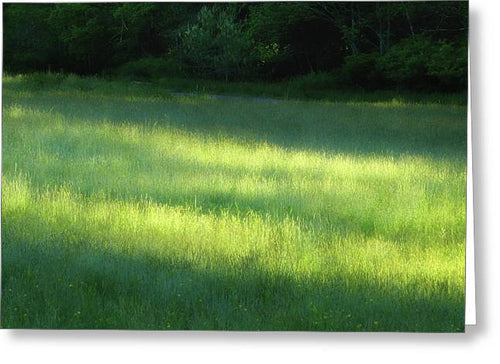 Early Morning Meadow - Greeting Card