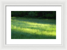 Early Morning Meadow - Framed Print